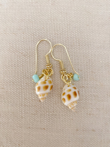 Seashell earrings