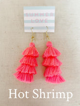 Load image into Gallery viewer, Tassel earrings